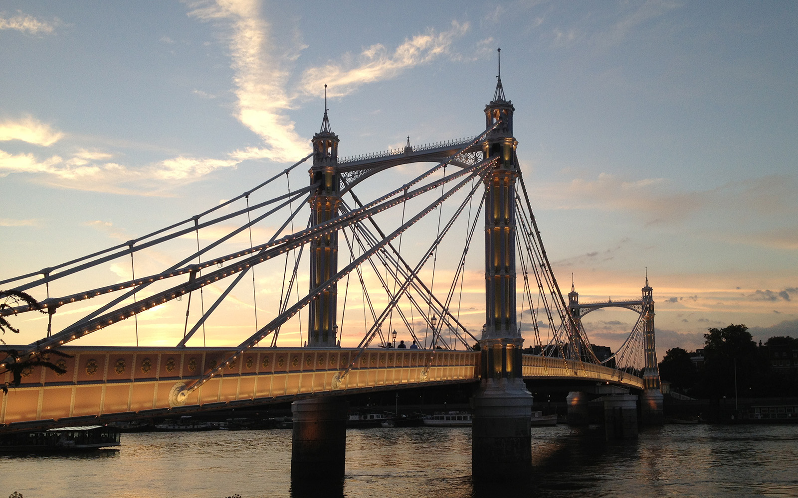 Albert Bridge at night