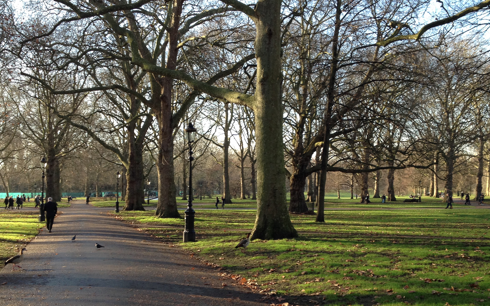 Green Park 14 December 2016