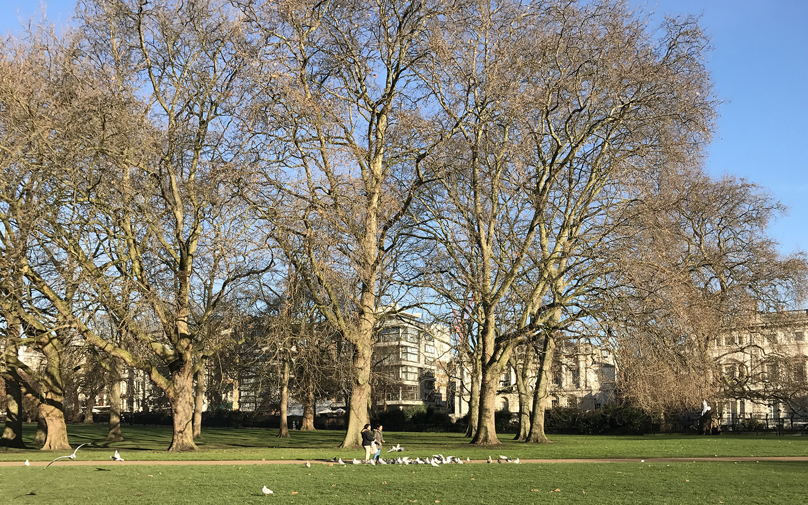 Green Park 5 January 2017