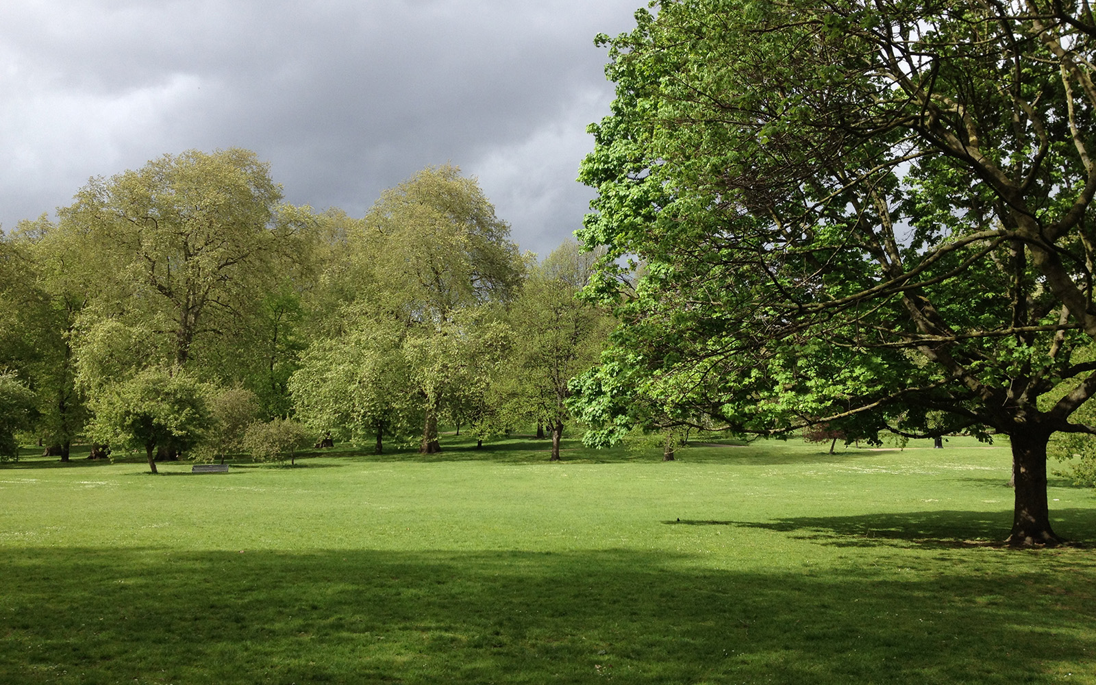 Green Park, May 2015