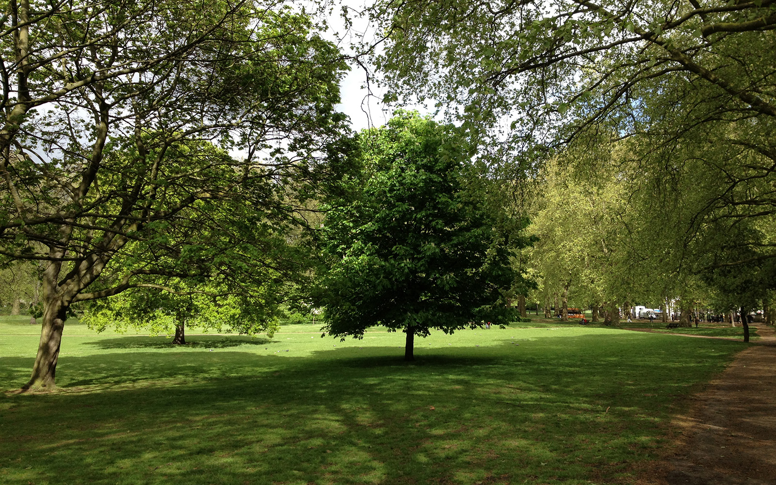 Green Park, May 2015