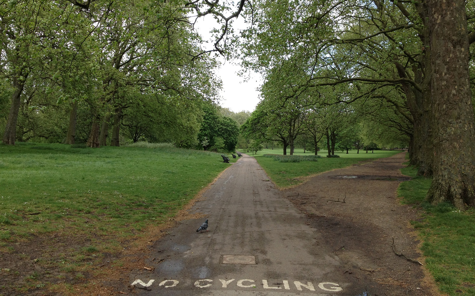Green Park, May 2015