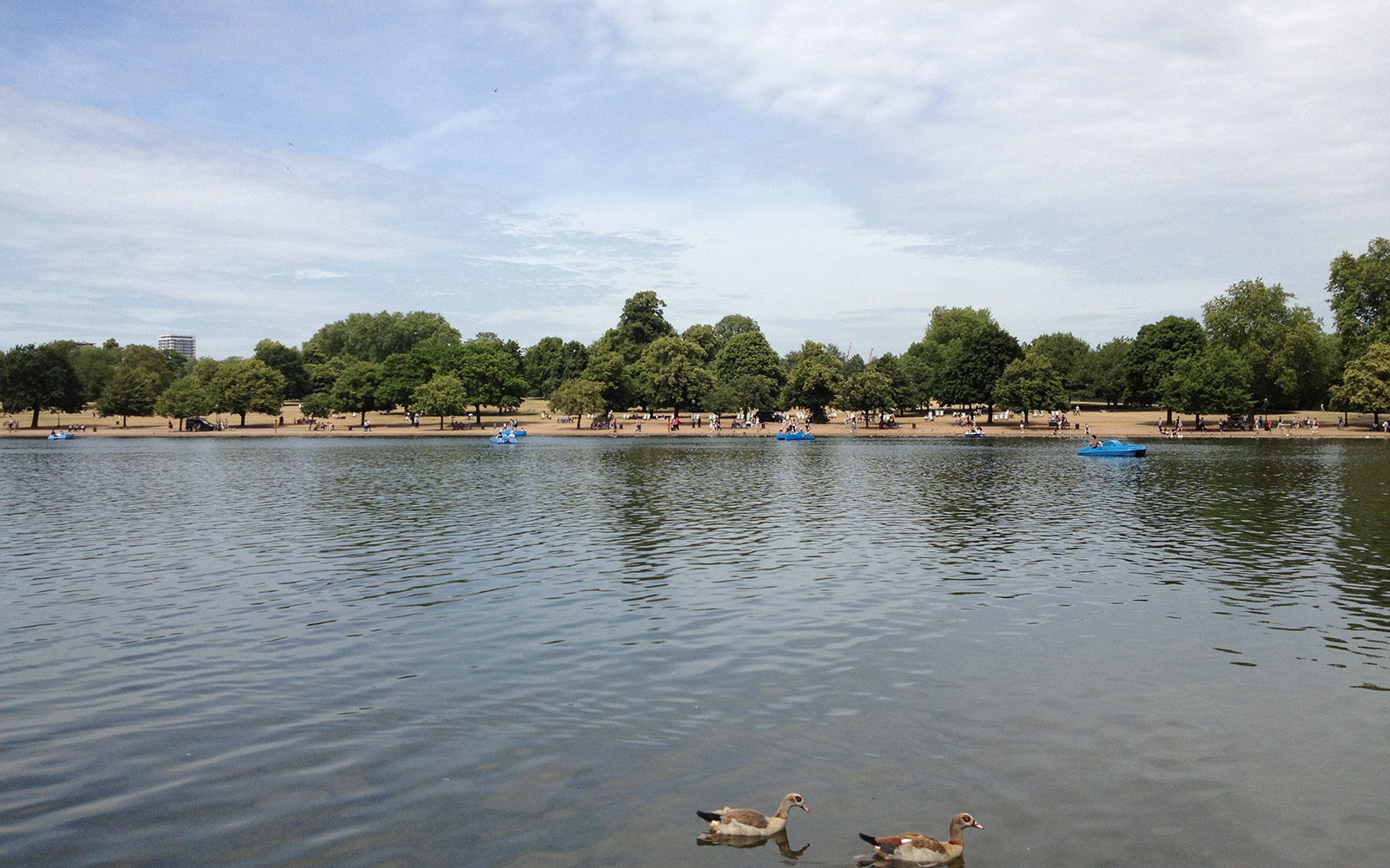 Hyde Park, 29 June 2015
