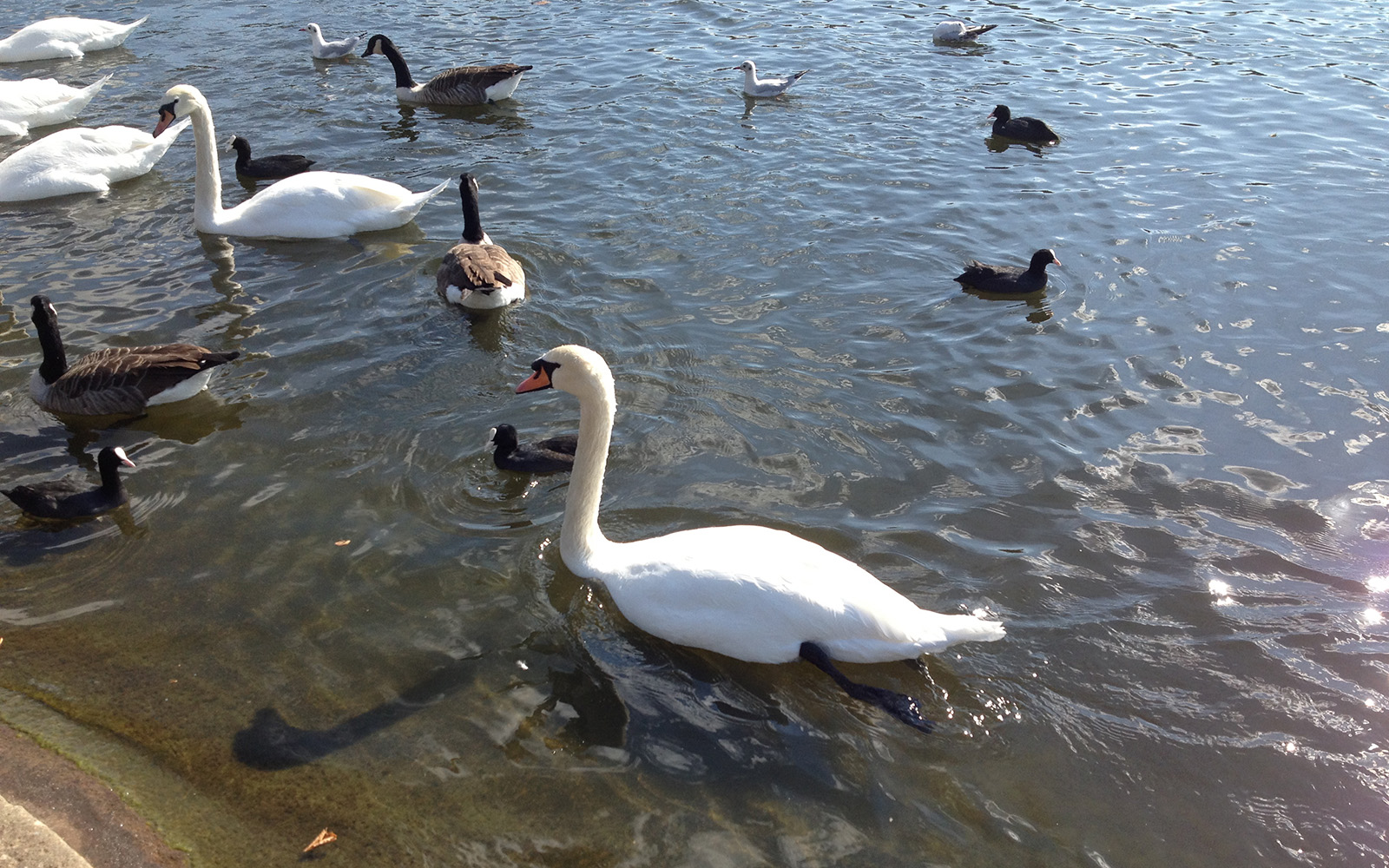 Hyde Park 30 September 2015