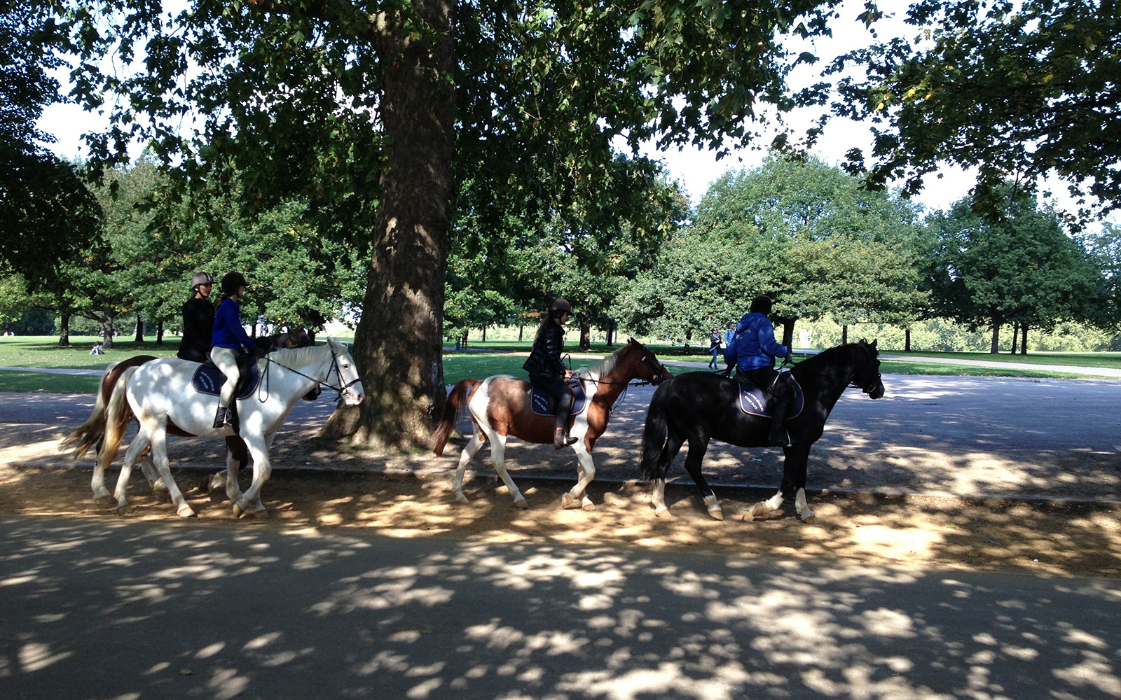 Hyde Park 1 Octoberber 2015