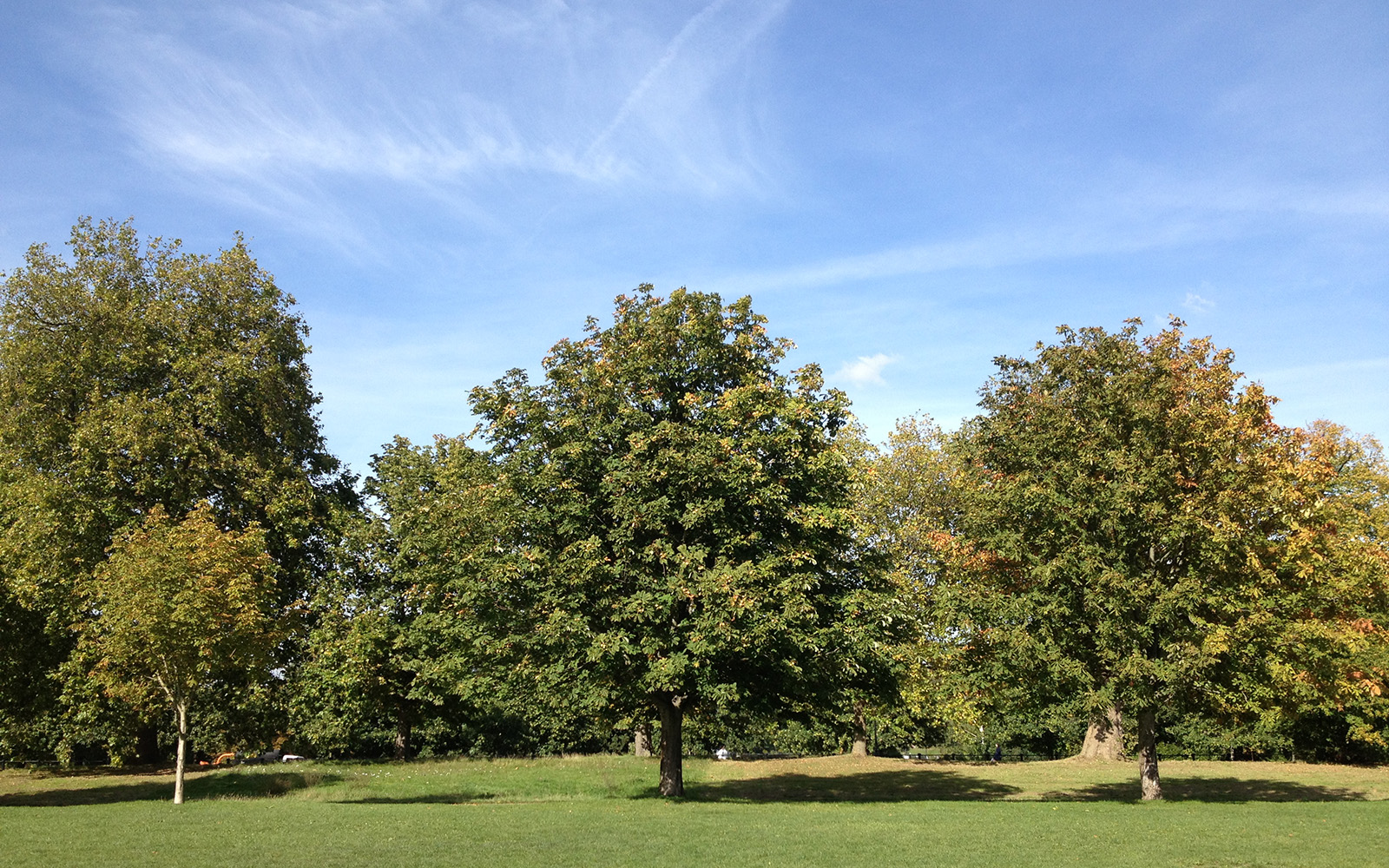 Hyde Park 30 September 2015