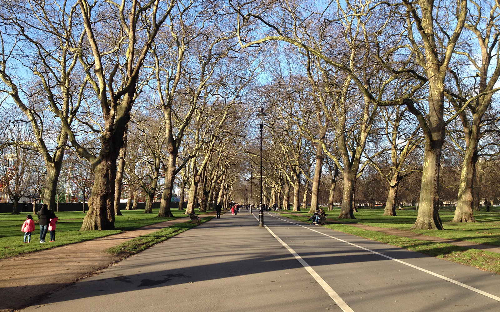Hyde Park 31 December 2015
