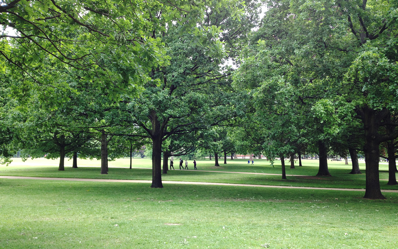 Hyde Park, 23 May 2015
