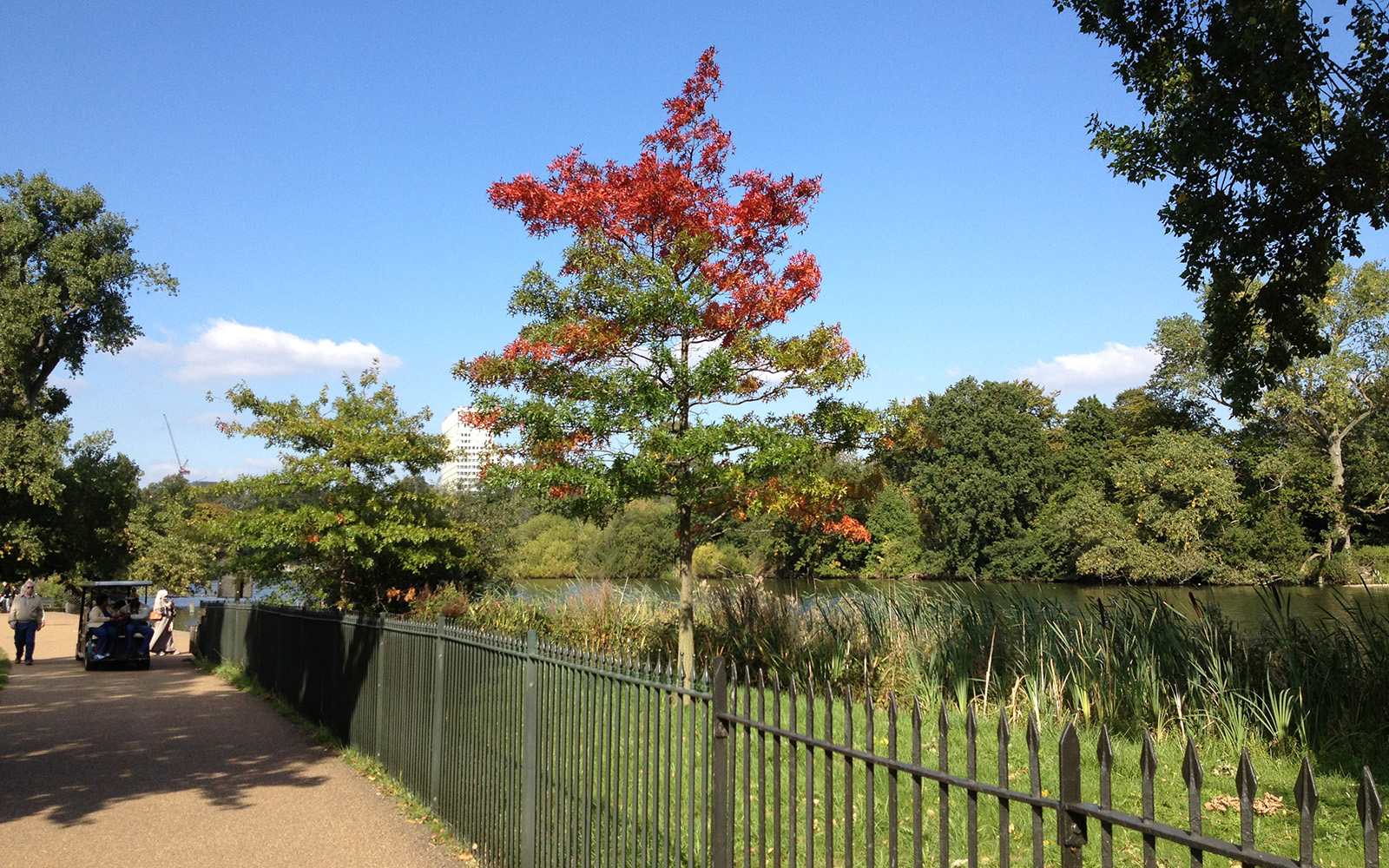 Kensington Gardens 1 October 2015