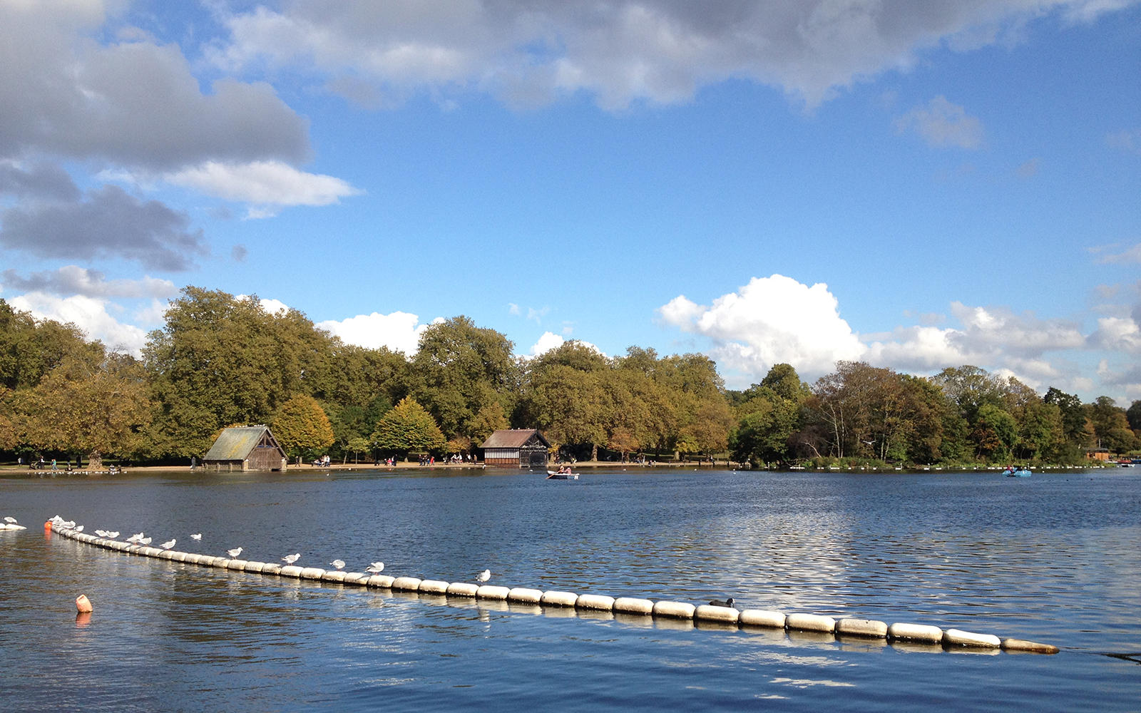 Kensington Gardens 22 October 2016