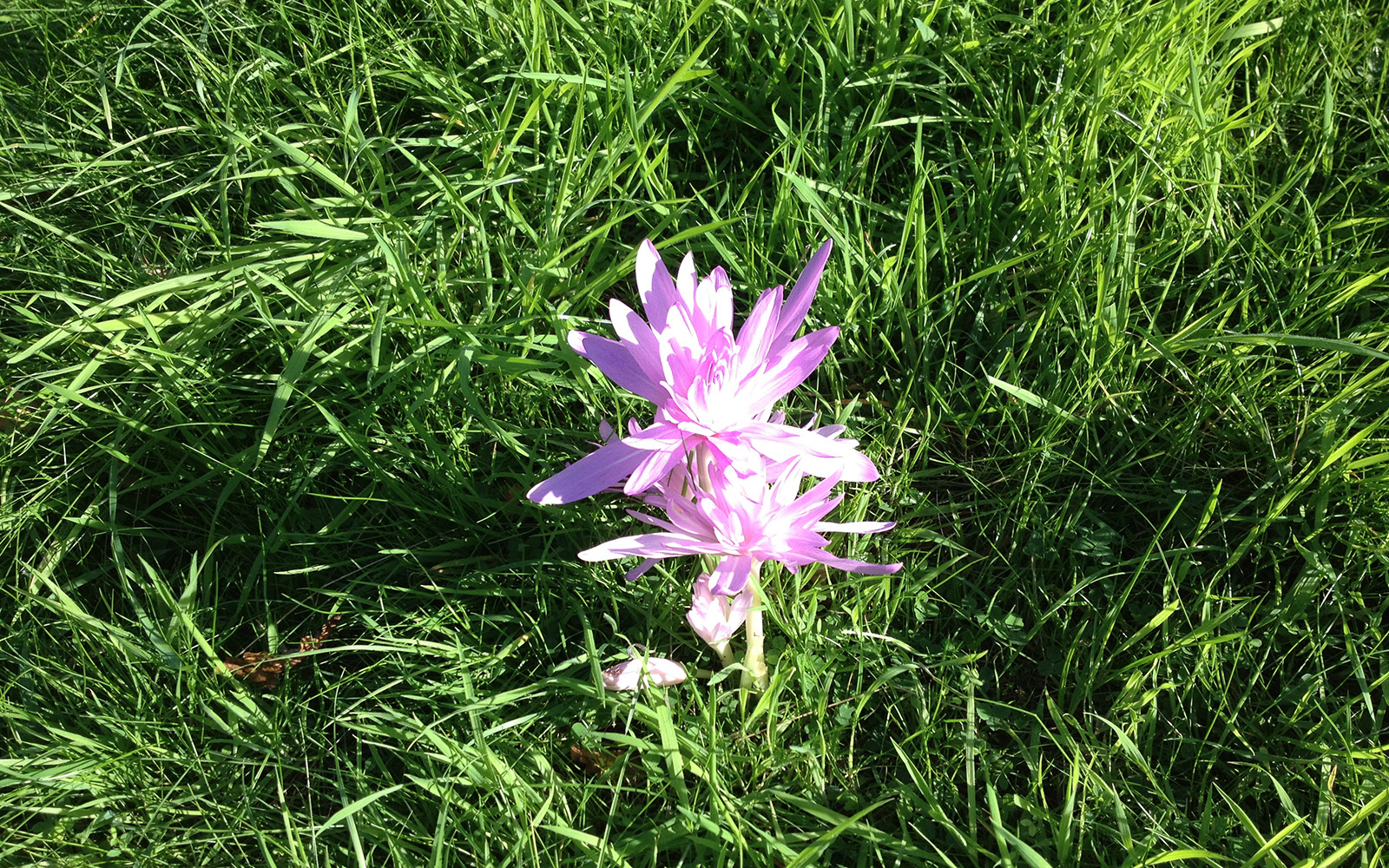 Kensington Gardens 30 September 2015