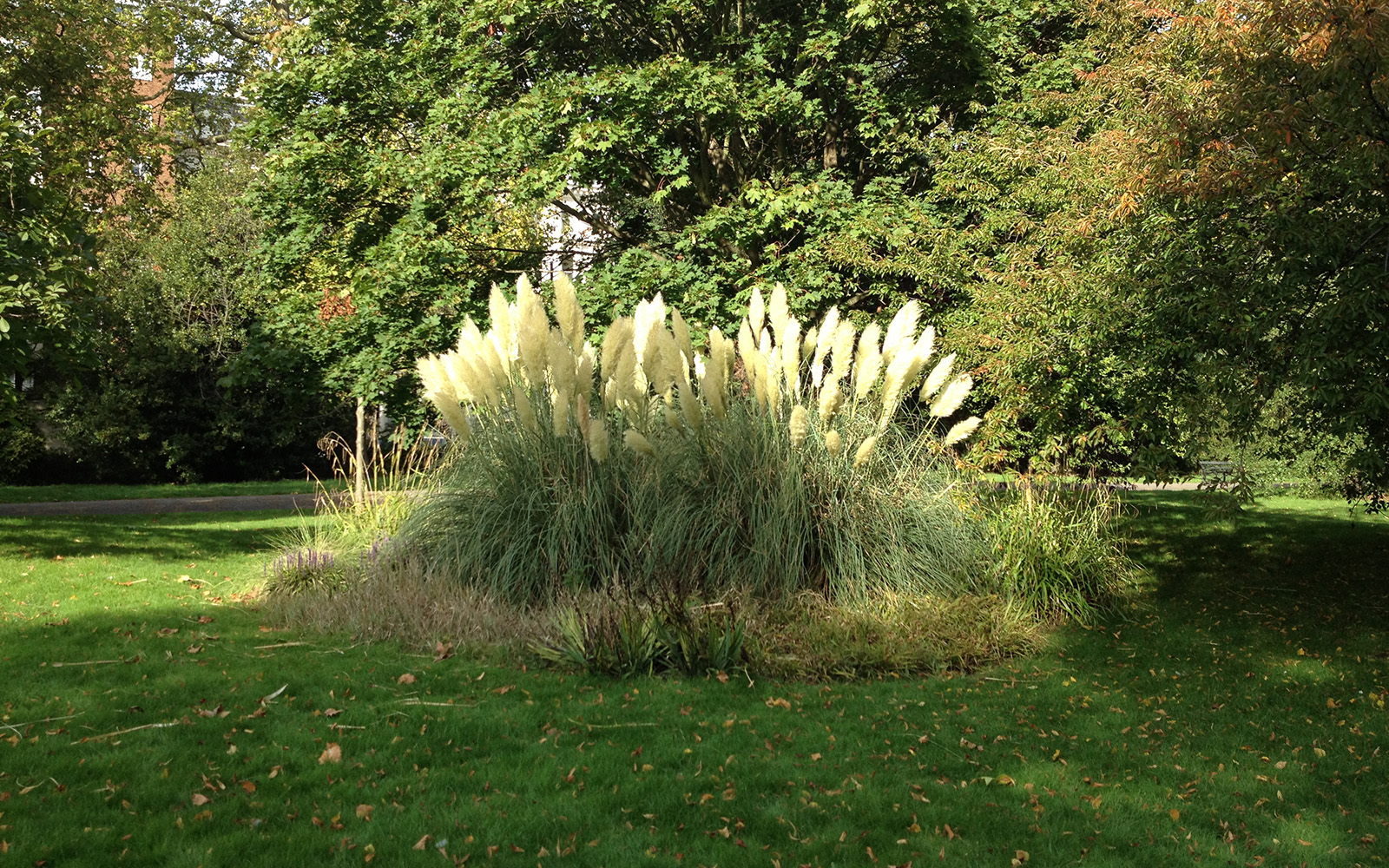 Kensington Gardens 30 September 2015