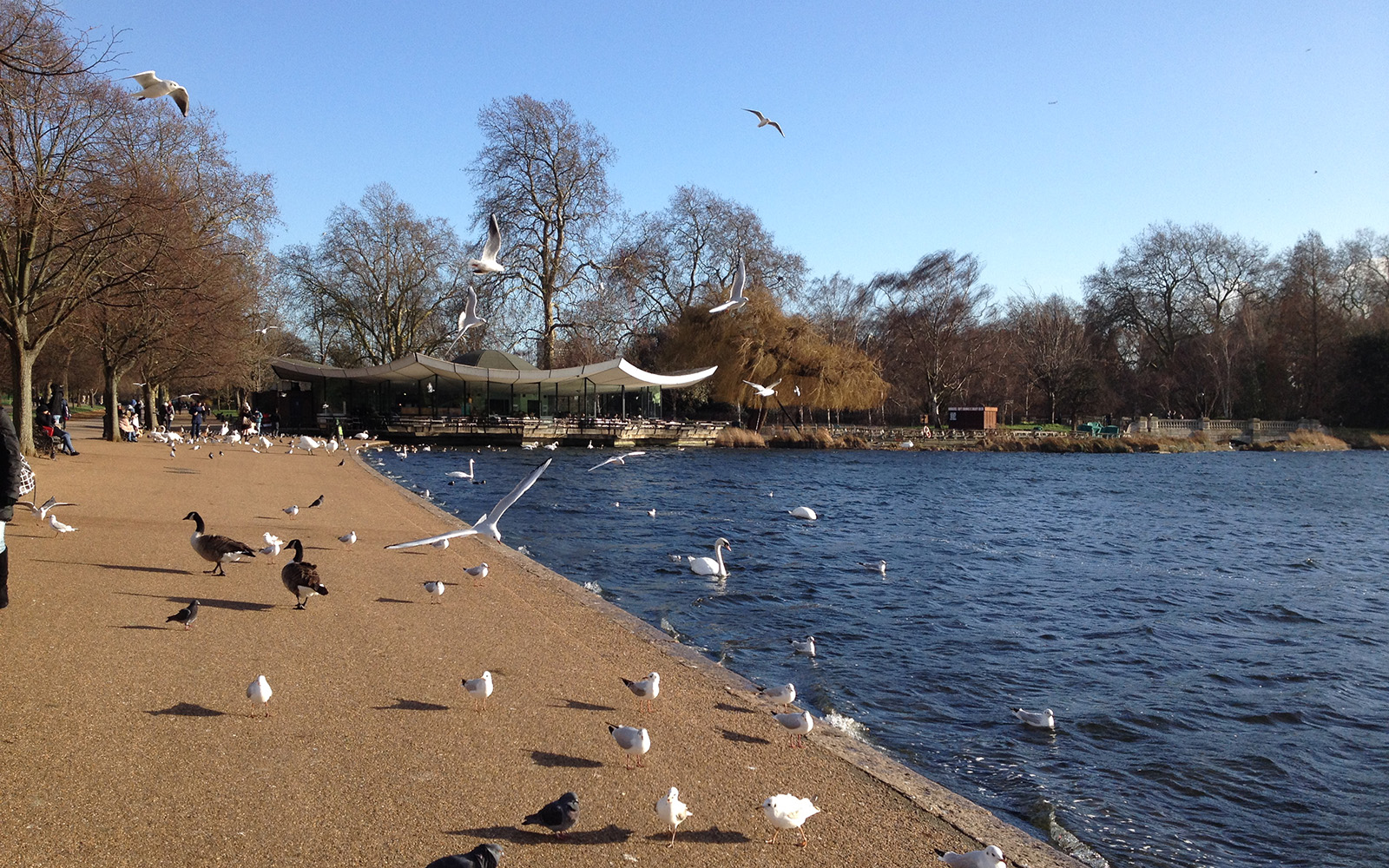 Kensington Gardens 2 February 2016