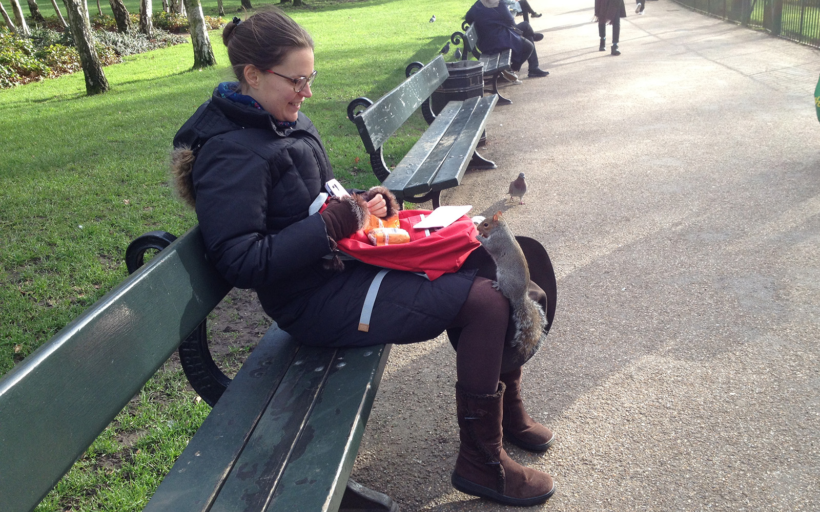 Hungry squirrel, 2 February 2016