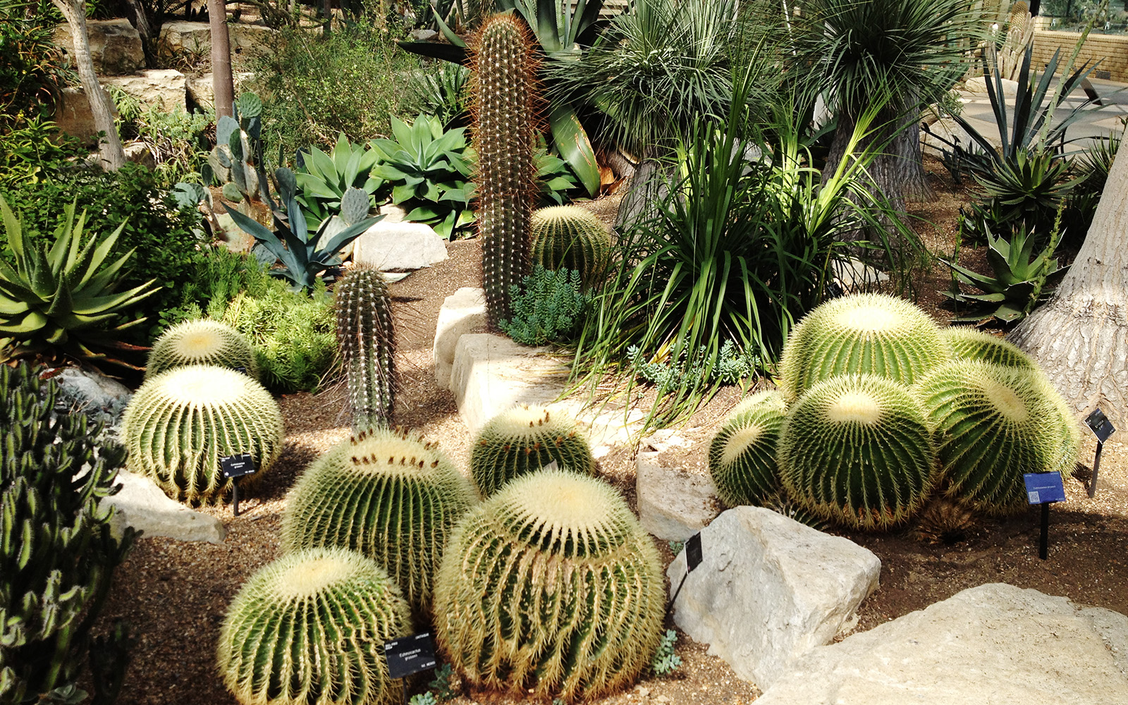 Kew Gardens, 2014