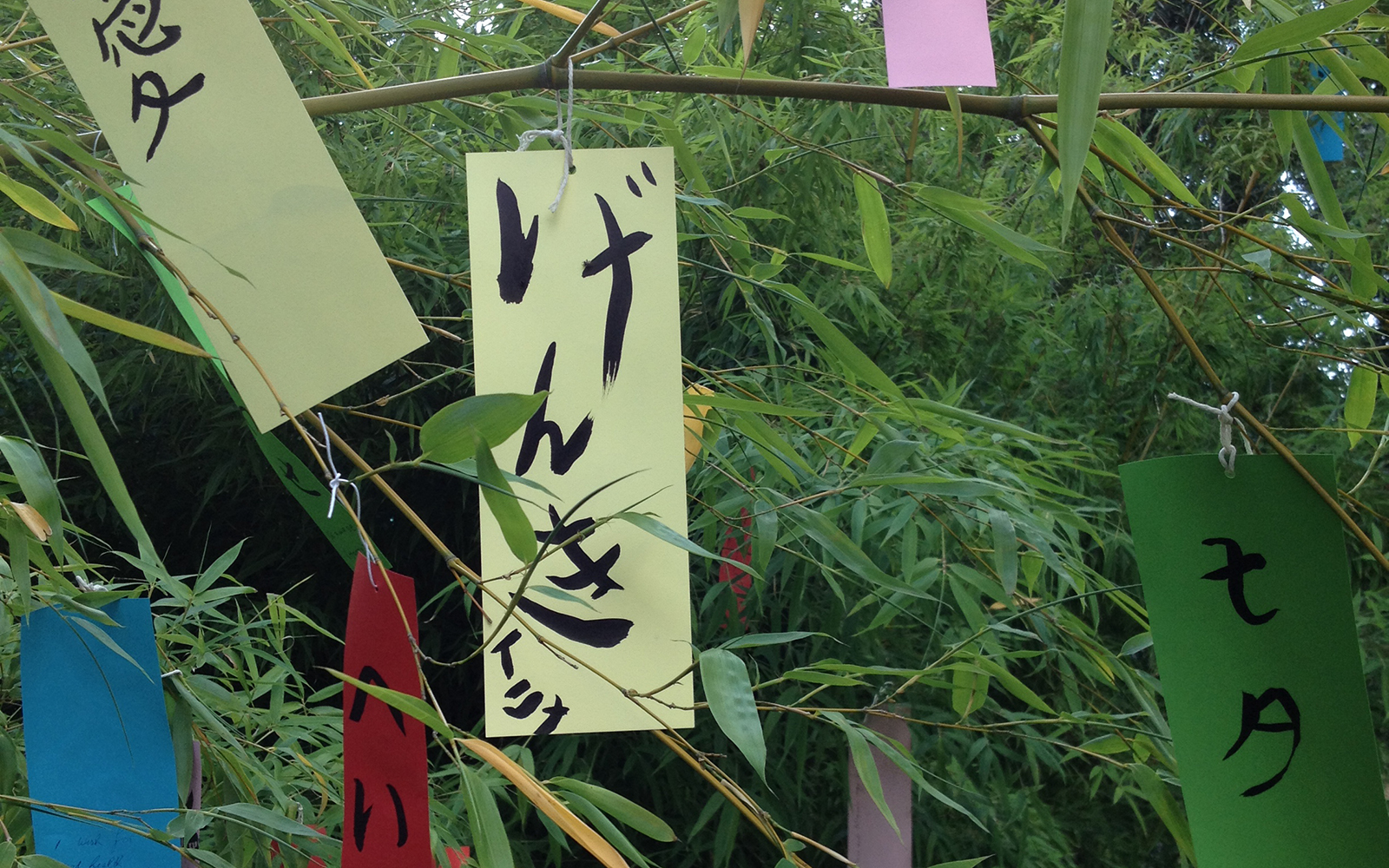 Calligraphy Workshops Tanzaku
