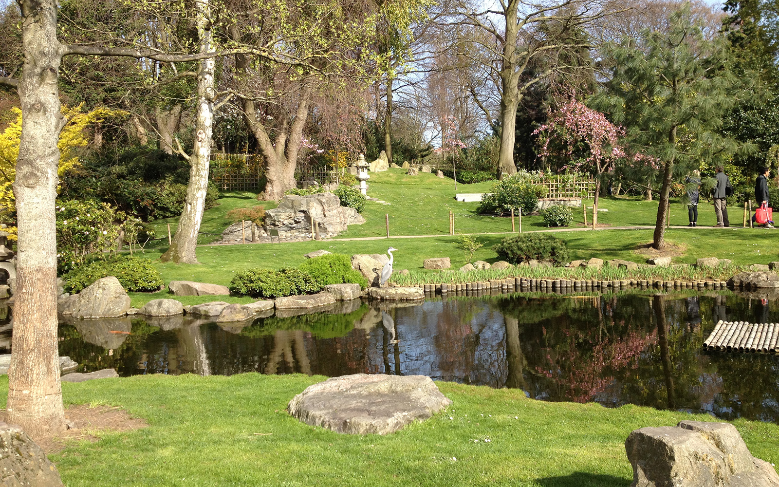 Holland Park. The Kyoto Gardens, April 2015