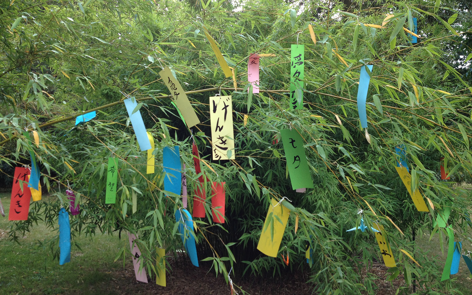 Kew Gardens, 2014