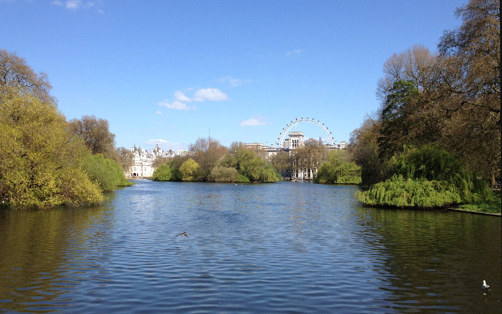 St Jame's Park, April 2015
