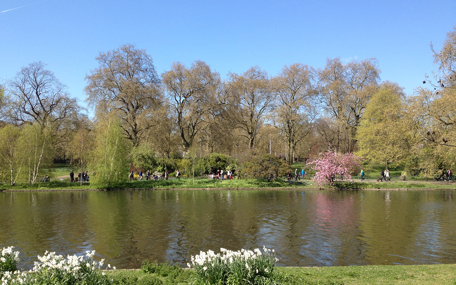 St Jame's Park, April 2015