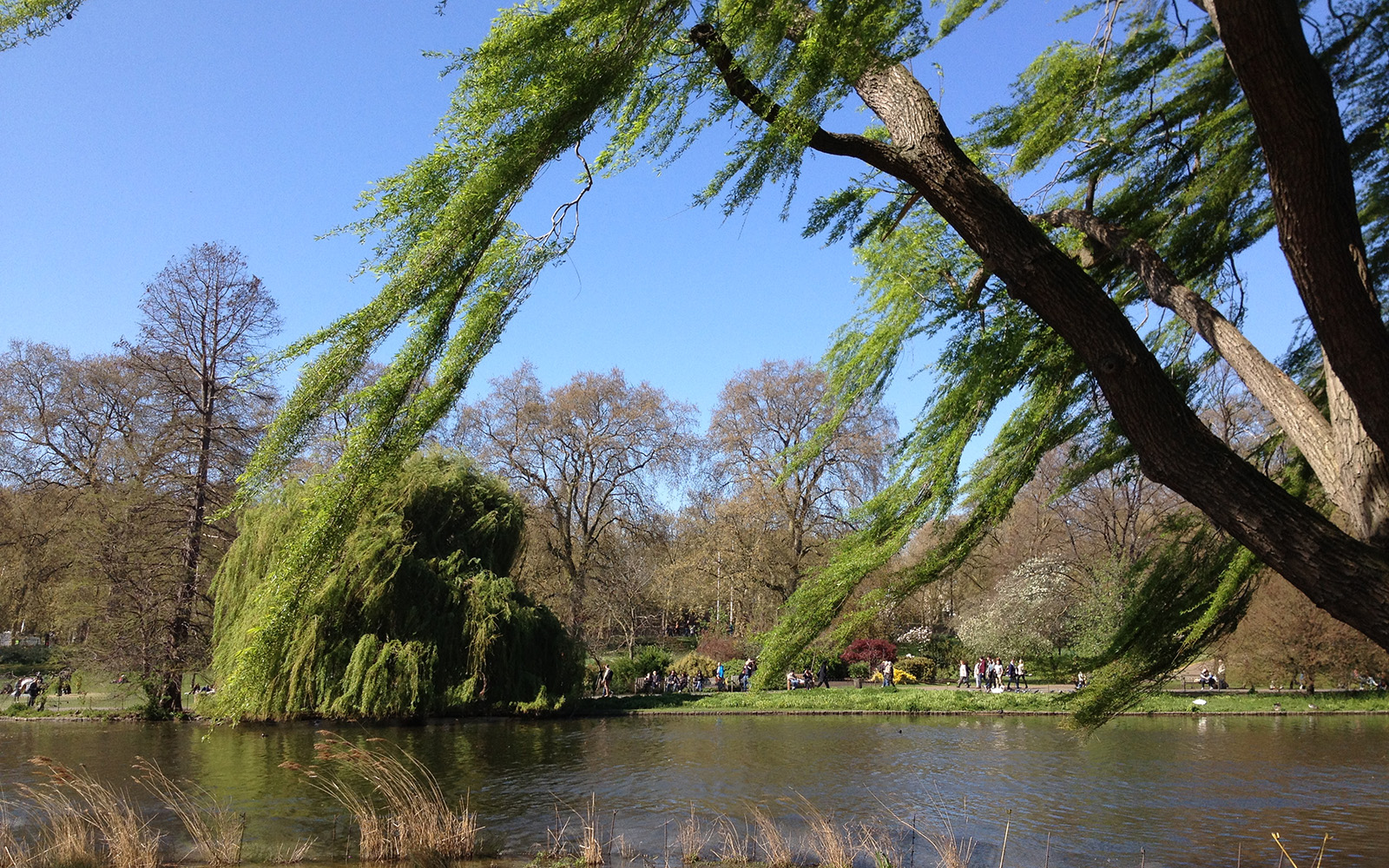 St Jame's Park, April 2015