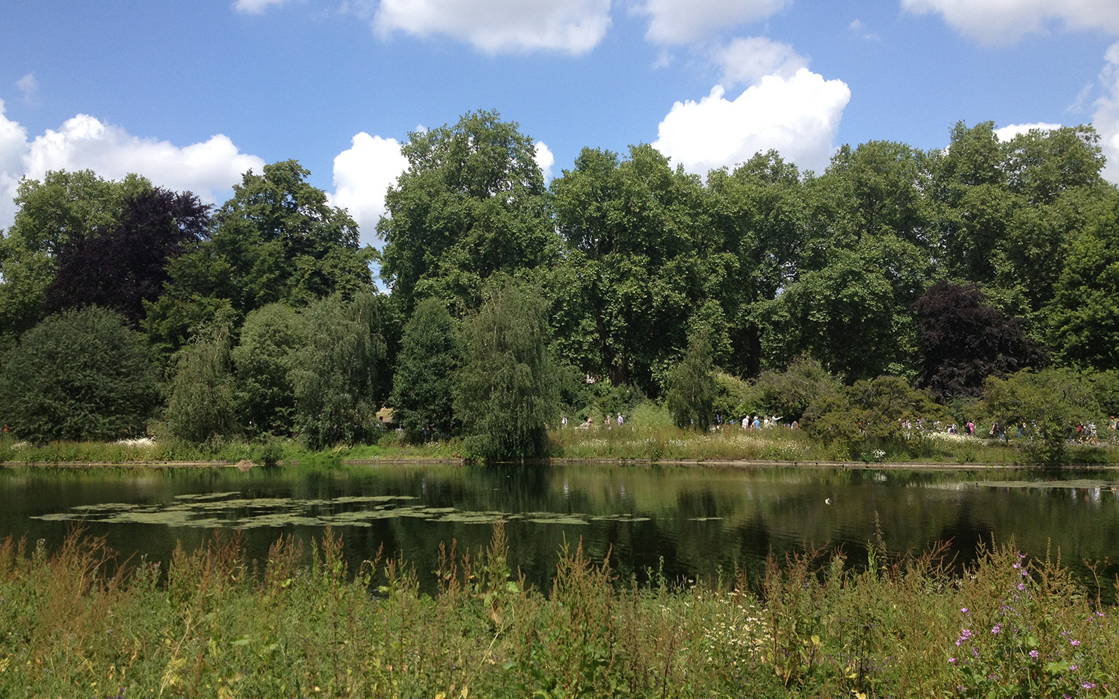 St Jame's Park, June 2015
