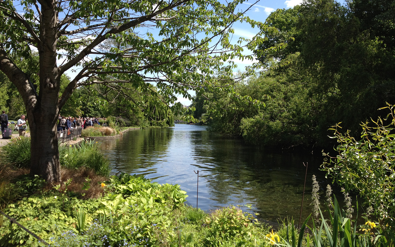 St Jame's Park, 17 May 2015 2