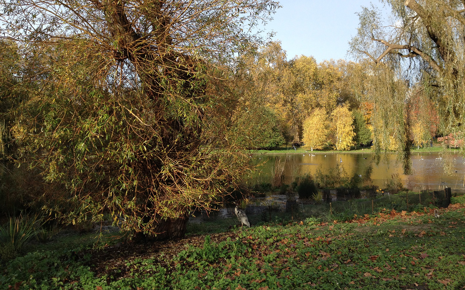 St James Park, Autumn 2014