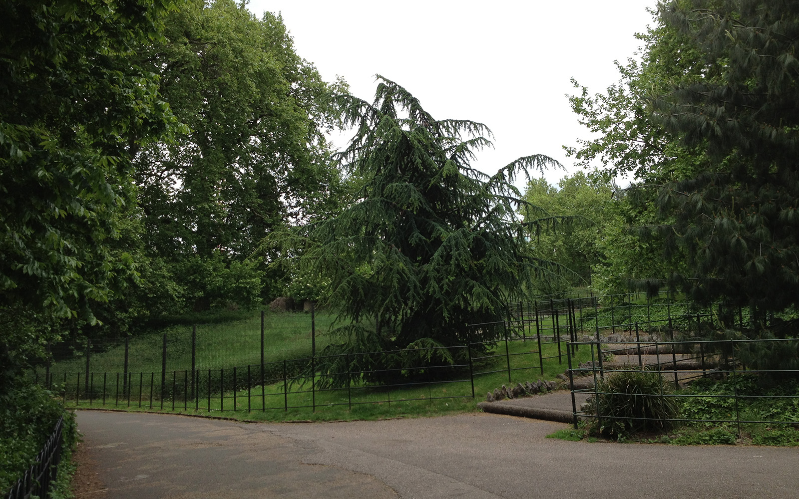 Battersea Park, 25 May 2015