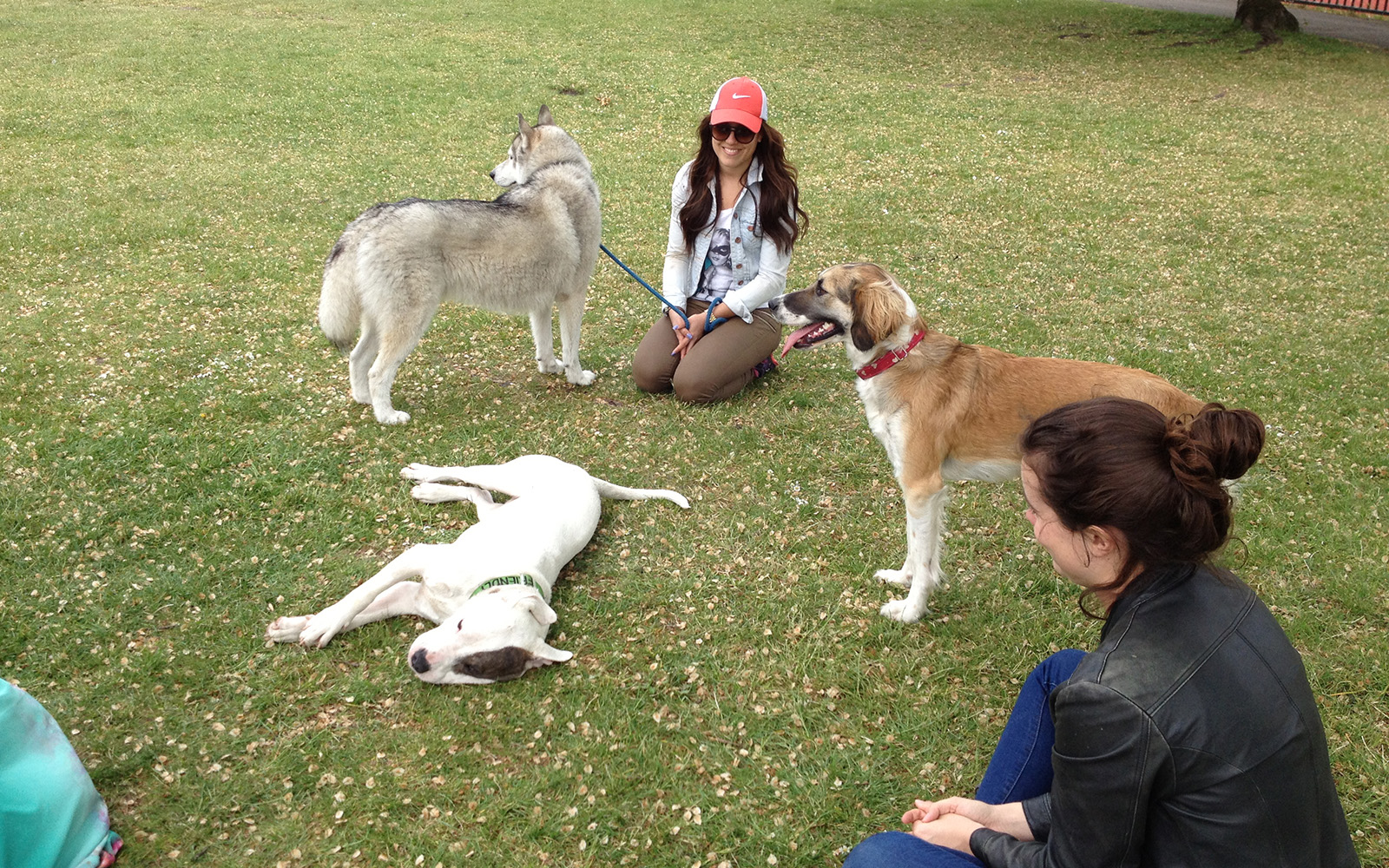 Battersea Park, 25 May 2015