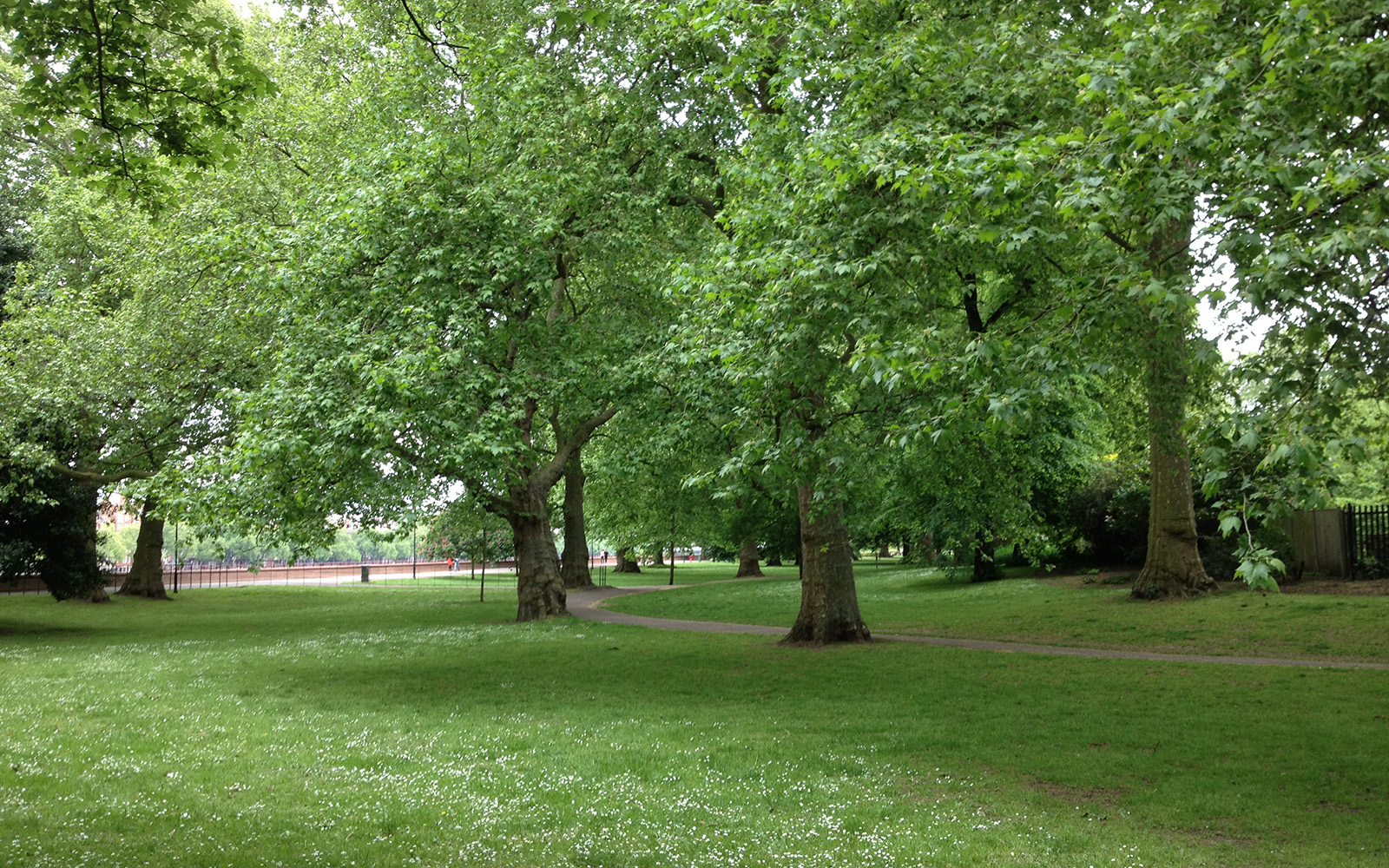 Battersea Park, 25 May 2015