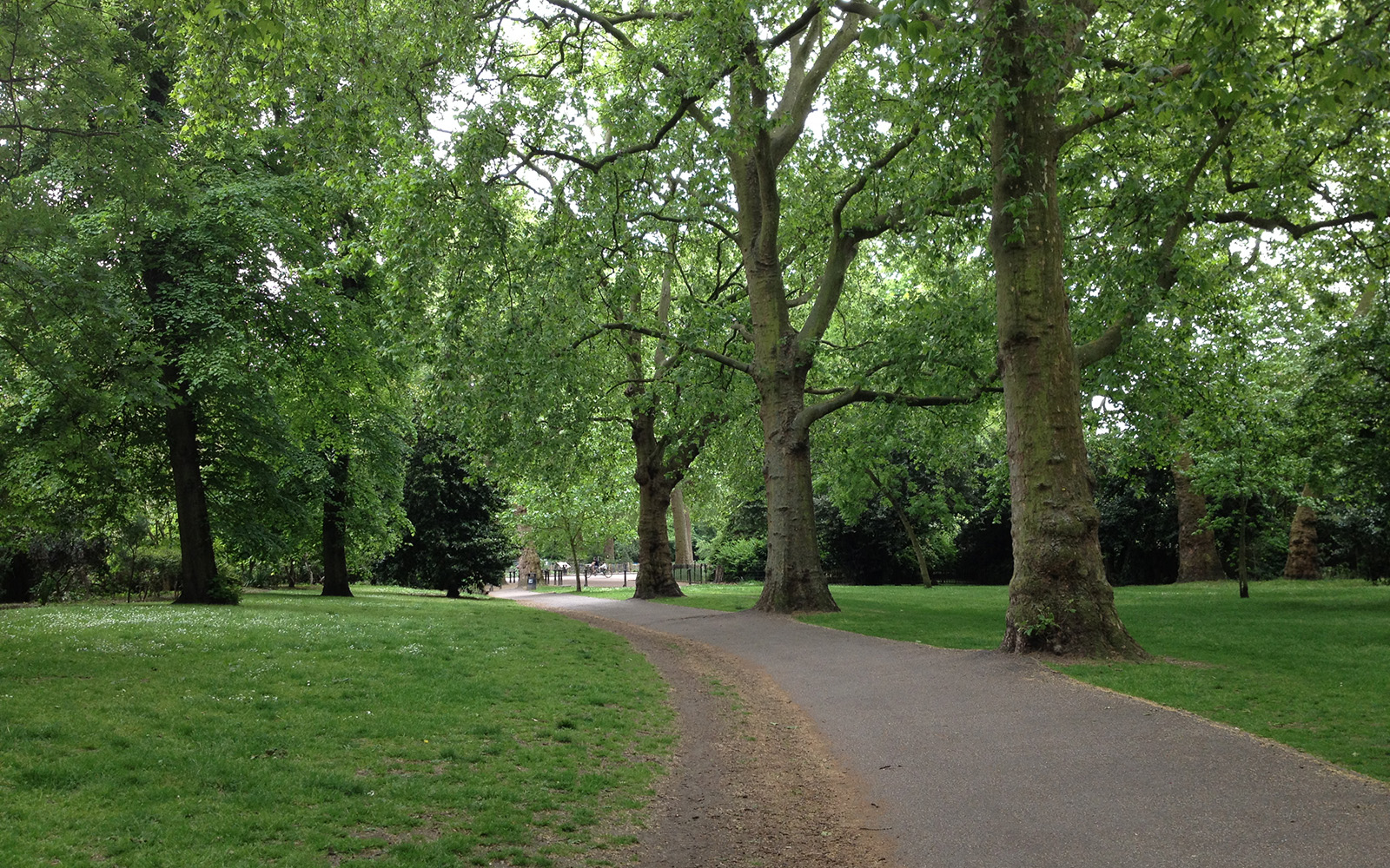 Battersea Park, 25 May 2015
