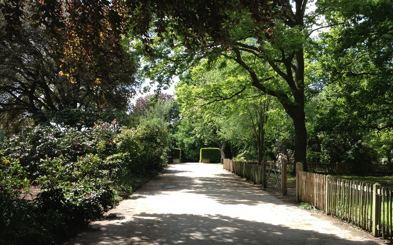 Holland Park, 16 May 2015