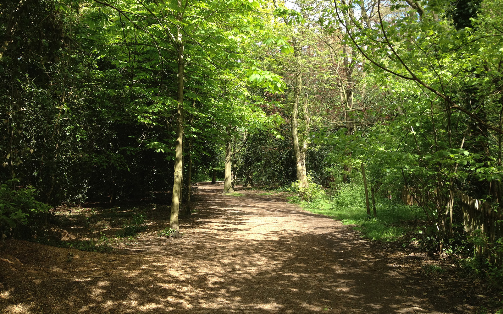 Holland Park, April 2015