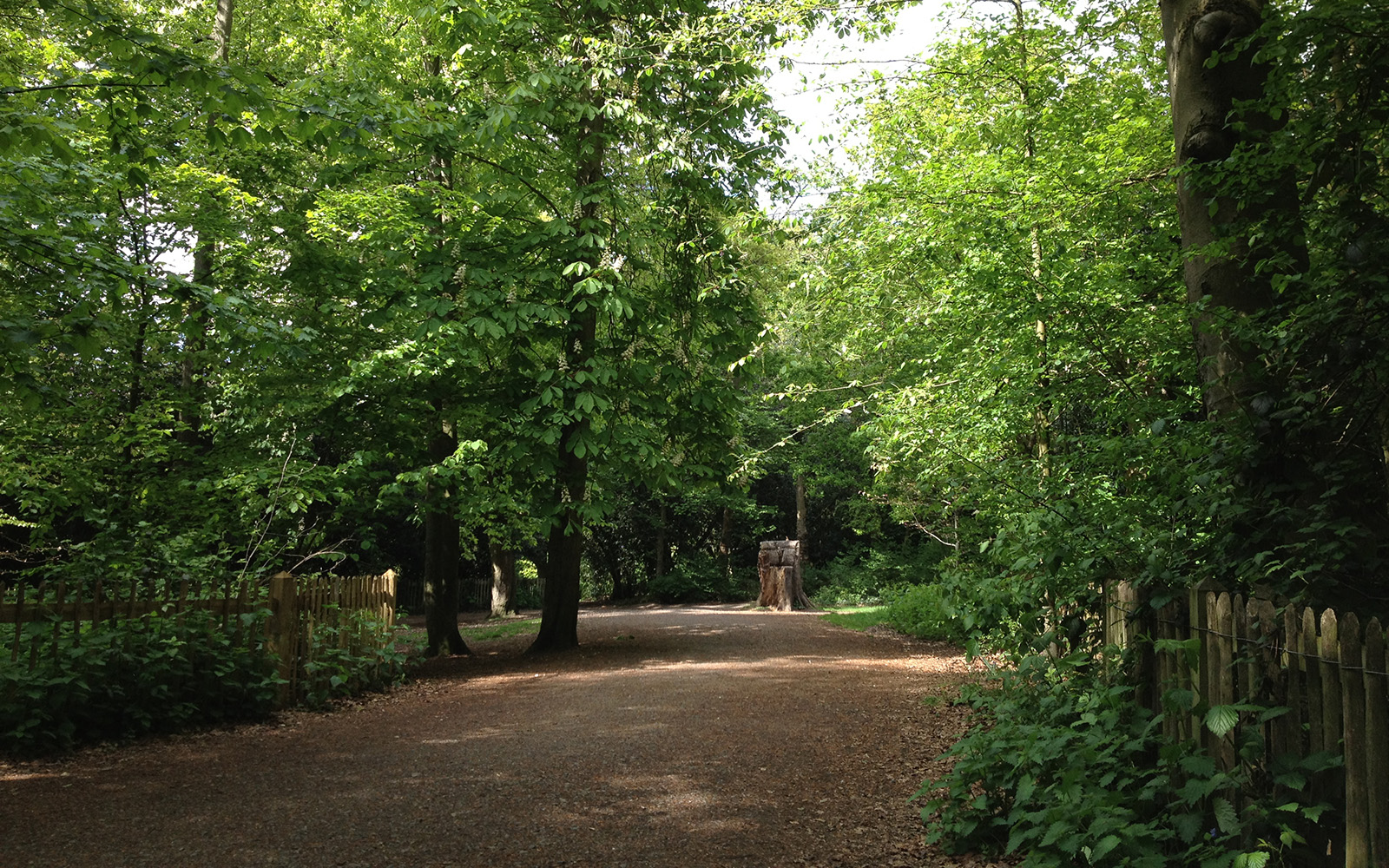 Holland Park, April 2015