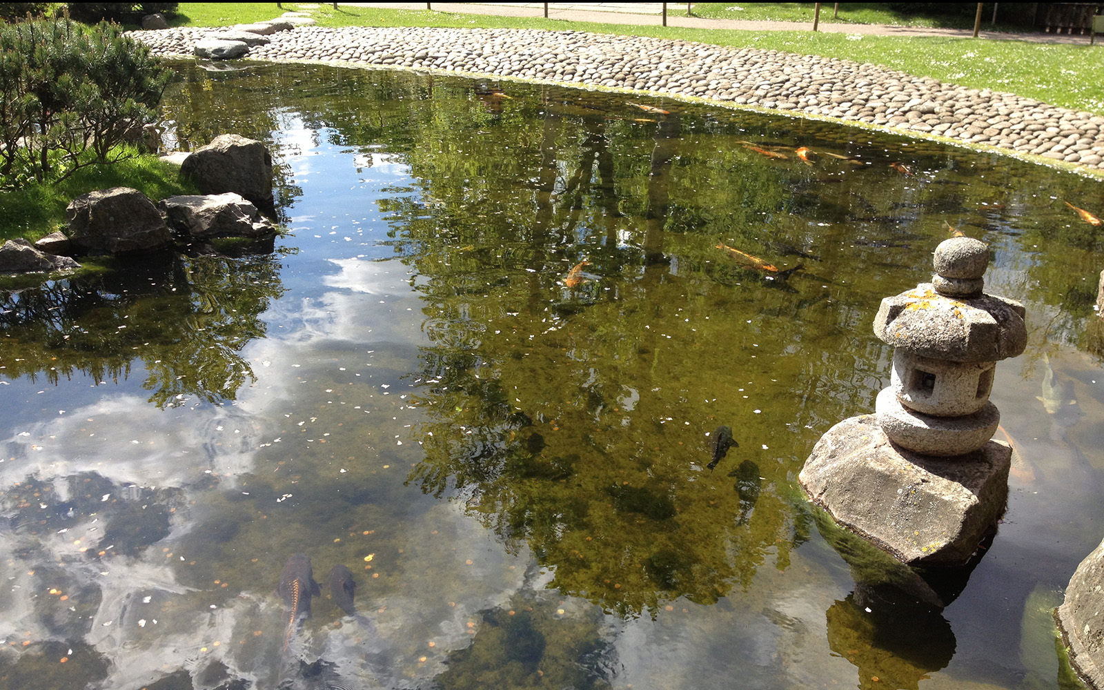 Holland Park. The Kyoto Gardens, April 2015