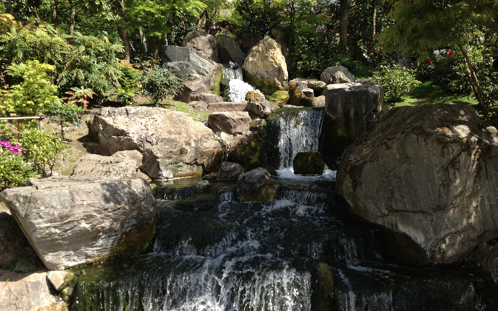 Holland Park. The Kyoto Gardens, April 2015
