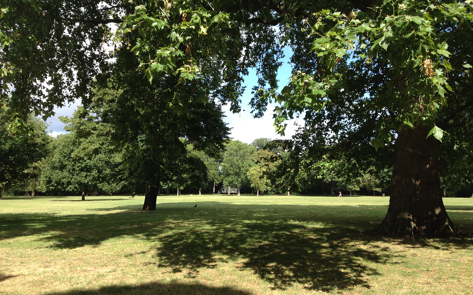 Regent's Park, 29 July 2015