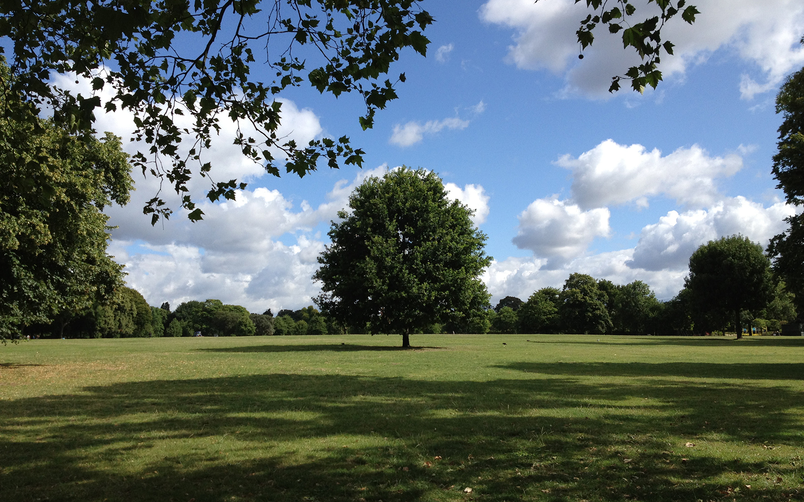 Regent's Park, 29 July 2015