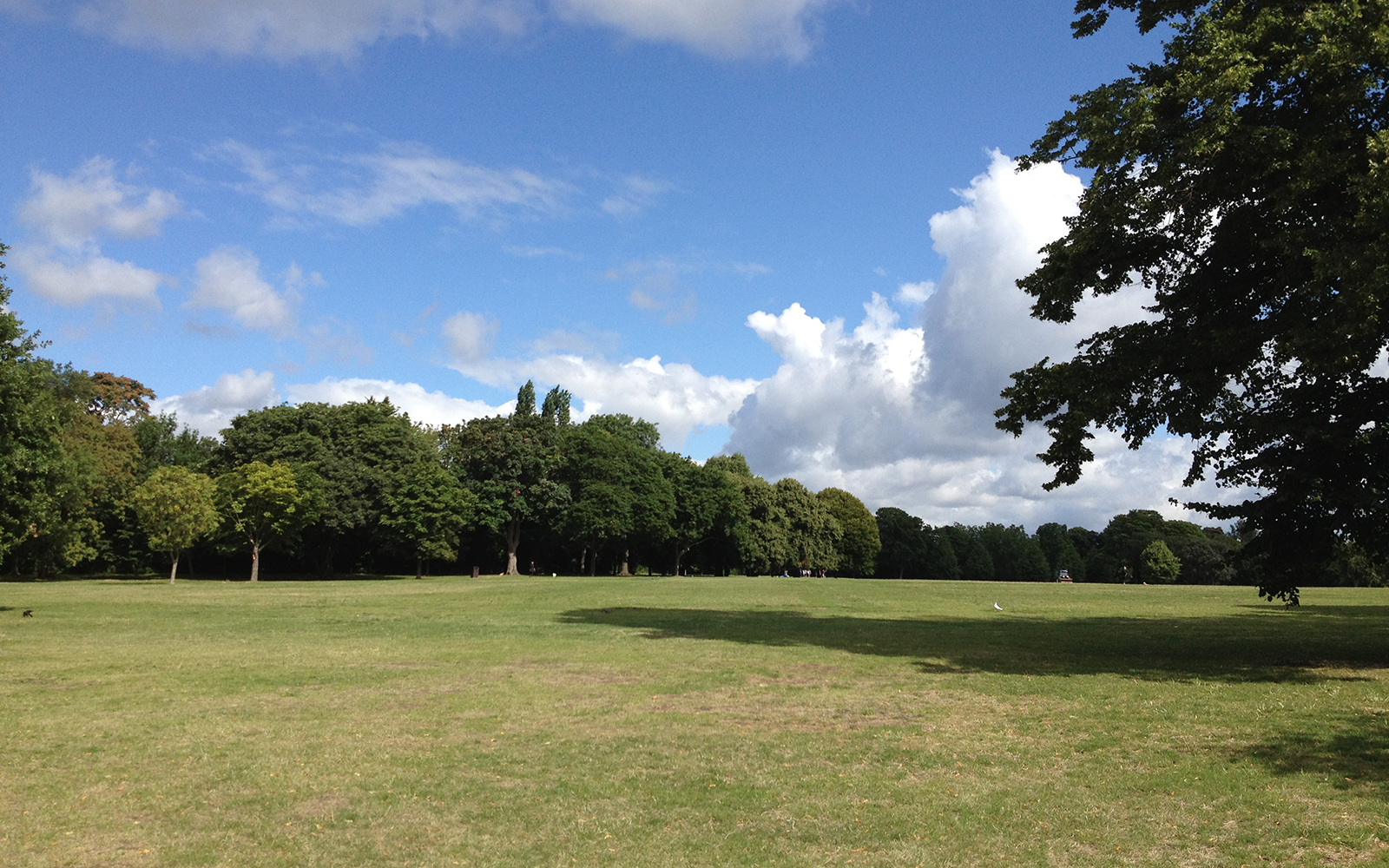 Regent's Park, 29 July 2015