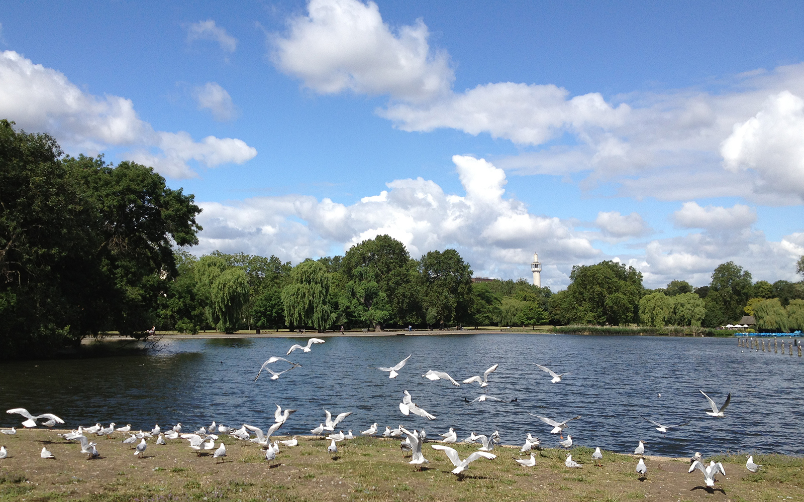 Regent's Park, 29 July 2015