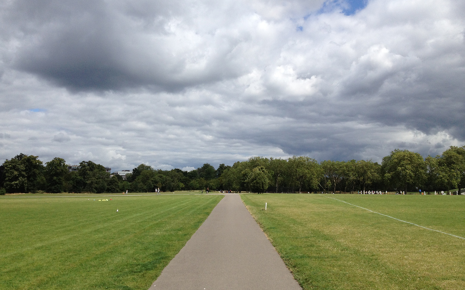 Regent's Park, 29 July 2015